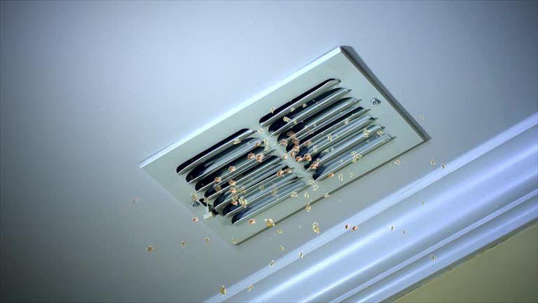 HVAC System Cleaning in AZ