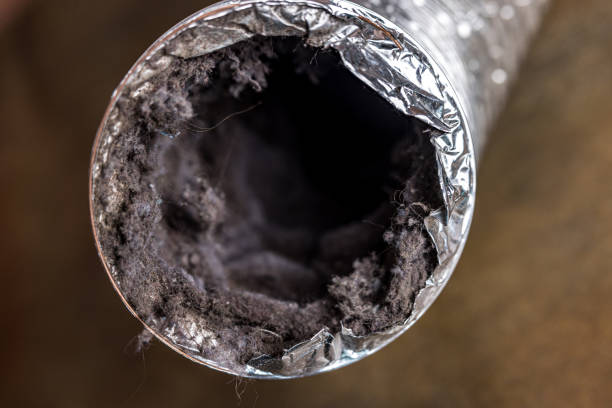 Best Professional Duct Cleaning Services  in Show Low, AZ