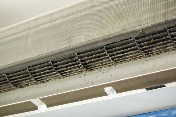 Best Emergency Air Duct Cleaning  in Show Low, AZ
