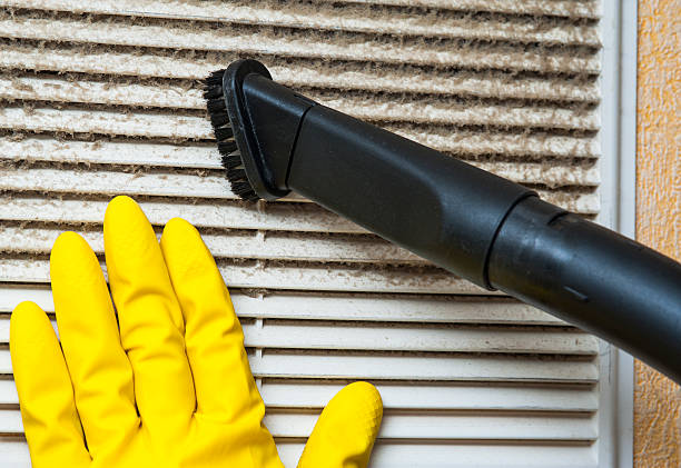 Best Affordable Air Duct Cleaning  in Show Low, AZ