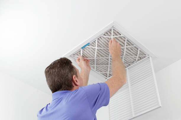 Best Home Air Vent Cleaning  in Show Low, AZ